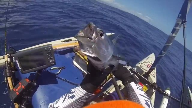 Maui Blue Ranger- Kawakawa action смотреть онлайн