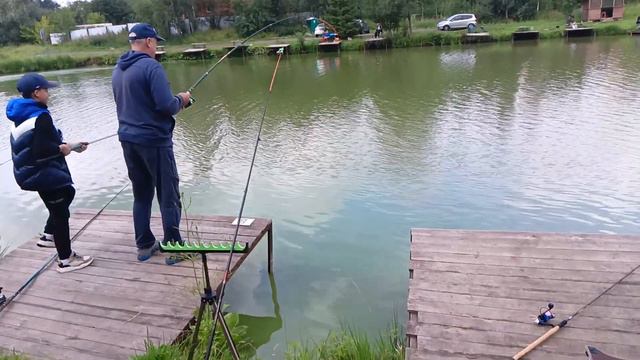 Светлые Горы. Сом 16.07.23 смотреть онлайн