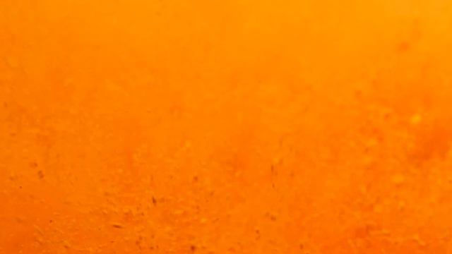 Куркума польза и вред. Принимай каждый день и увидишь что будет!