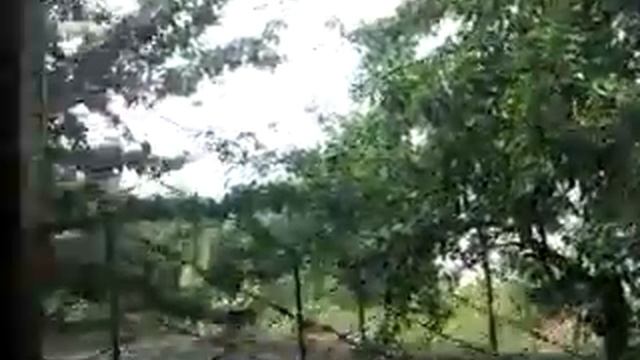 ИЗ АРХИВА ДАЧА МОЯ ДАЧА смотреть онлайн