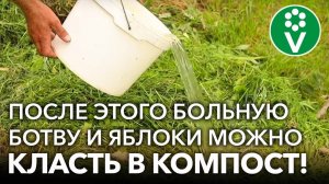 «ЗАЖИГАЛКА» ДЛЯ КОМПОСТА: ботва быстро перегниет, а от болезней и вредителей не останется и следа!