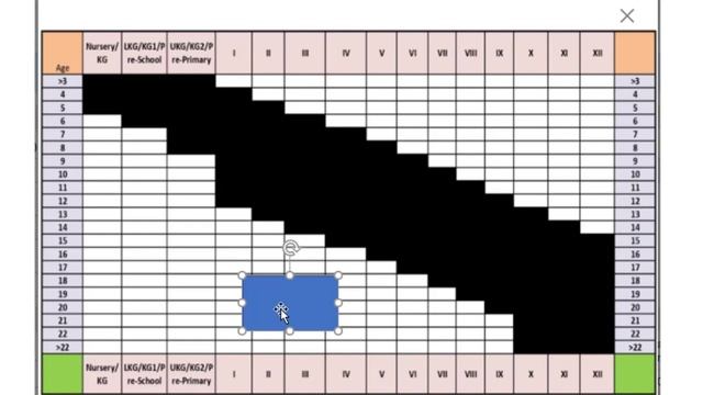 How to remove age matrix error during student data entry on UDISE | How to remove age matrix error смотреть онлайн