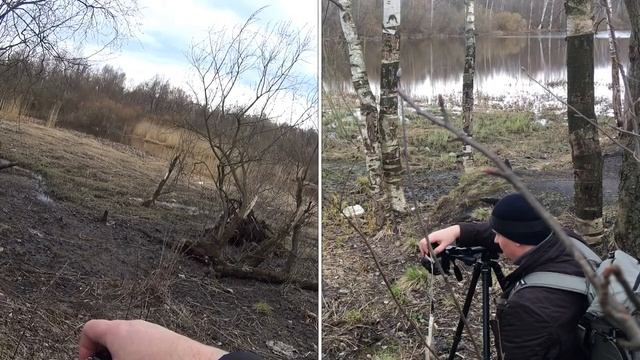 Стерео пейзаж ?Фотография и Лохматый Наблюдатель с Фовеонычем смотреть онлайн