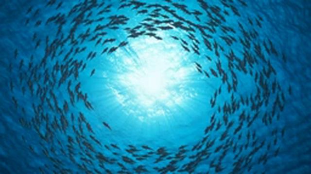 Deep Relaxing Underwater Sounds - 4 Hours | Deep Sea Soundscape, Ocean Sea Sounds