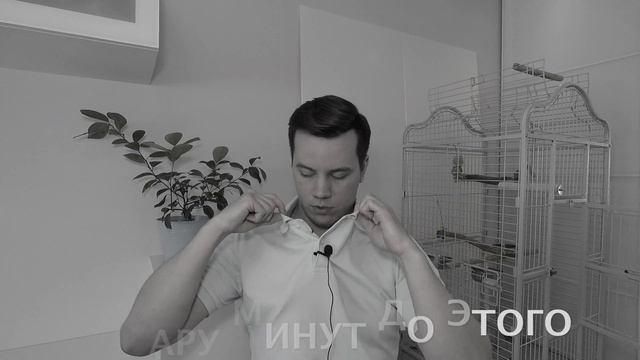 Как выбрать говорящего попугая - 3 простых правила. смотреть онлайн