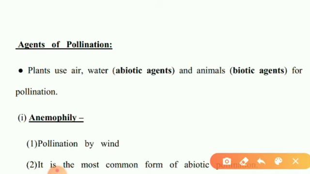 Class xii Biology pollination part 6 смотреть онлайн