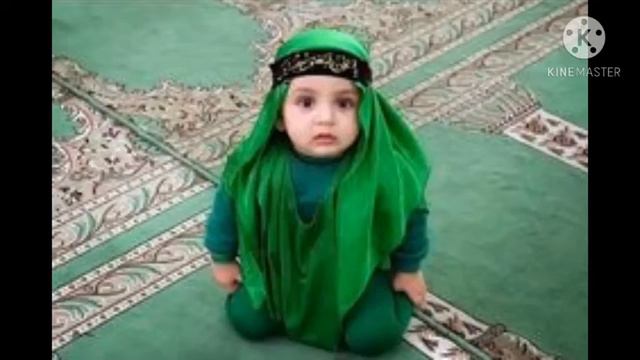 PHP Al Quran alo смотреть онлайн