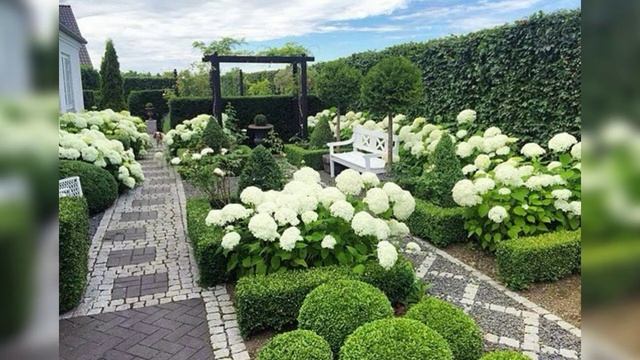 Белые цветы, деревья и кустарники для украшения сада. Ландшафтный дизайн смотреть онлайн