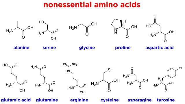 Amino Acids смотреть онлайн