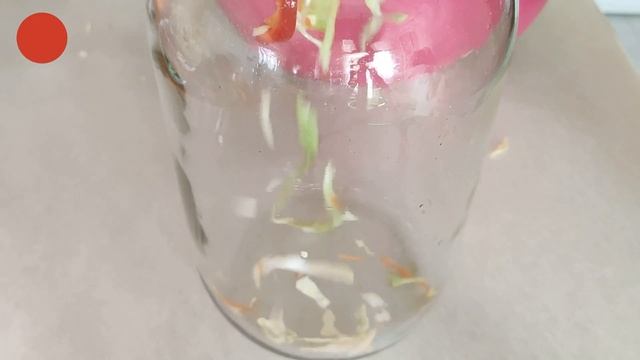 Найшвидший рецепт салату із капусти з перцем. Капуста квашена за ніч. смотреть онлайн