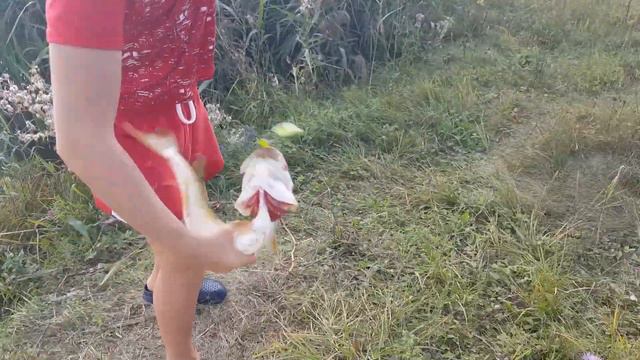 Взял МАТЧ реванш,но ЧТО-ТО пошло НЕ так! смотреть онлайн