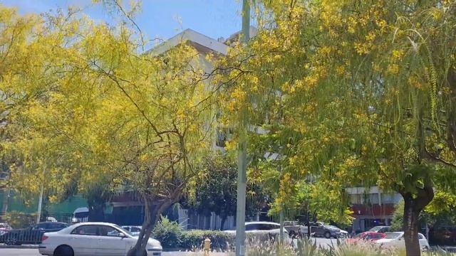 Самые богатые районы столицы Чили. Прогулялись с мужем по улицам / Barrios ricos en Santiago смотреть онлайн