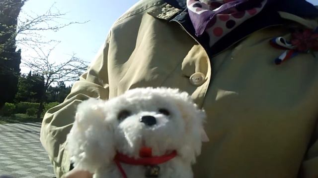 ВнучКино =Я и Тобик на самоизоляции= смотреть онлайн