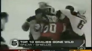 Хоккей Драки Вратарей