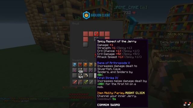 Hypixel Skyblock : HOW TO GET THE *NEW* ASPECT OF THE JERRY! | Minecraft Skyblock (74)