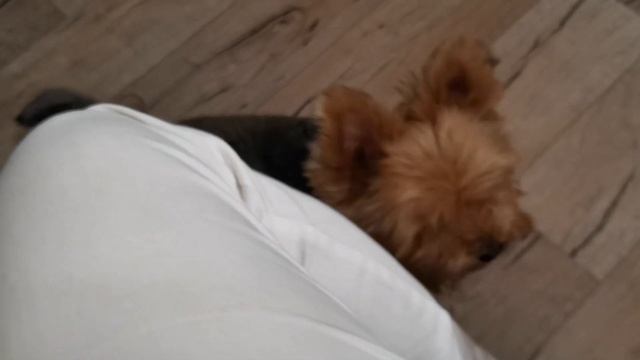 ?На кухне... ✅Быстрые лепёшки на соде ✅Мыло, которым жалко пользоваться...