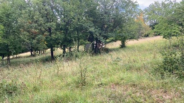 участок в соколином смотреть онлайн