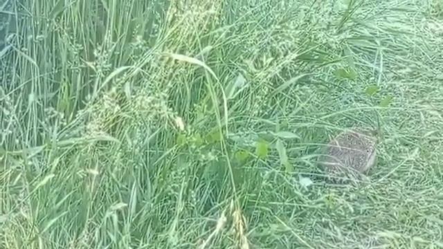 Этого было не избежать смотреть онлайн