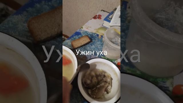 Ужин уха из карася и плотвицы? смотреть онлайн