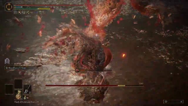 Elden Ring Malenia Ultra Greatsword (No Summon No Shield) смотреть онлайн