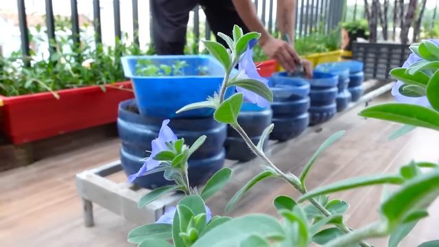 Great ideas for growing vegetables at home for people who don't have a garden смотреть онлайн