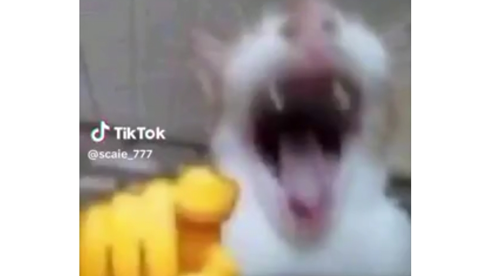 Мем про ВМВ 🫡 #мем #shorts смотреть онлайн