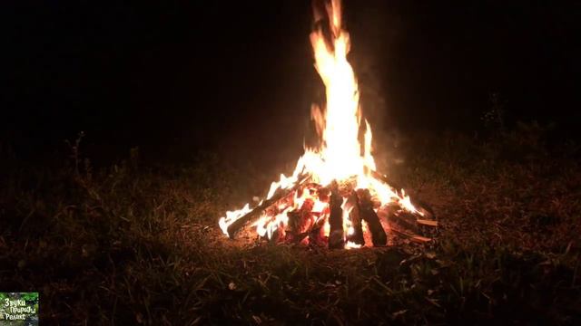 Расслабляющий отдых у костра Звуки живой природы для успокоения смотреть онлайн