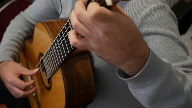 Ferdinando Carulli - Etude 9 смотреть онлайн
