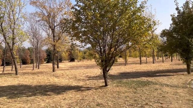 ИЗ ГЕРМАНИИ В КАЗАХСТАН.ПАРК ИМ. ПЕРВОГО ПРЕЗИДЕНТЫ.АЛМАТЫ,КАЗАХСТАН смотреть онлайн