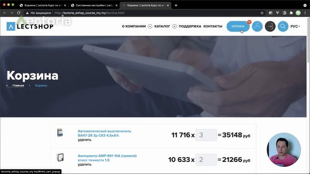 Сквозная корзина на MODX и Minishop2 | Как сделать всплывающую корзину на всех страницах сайта смотреть онлайн