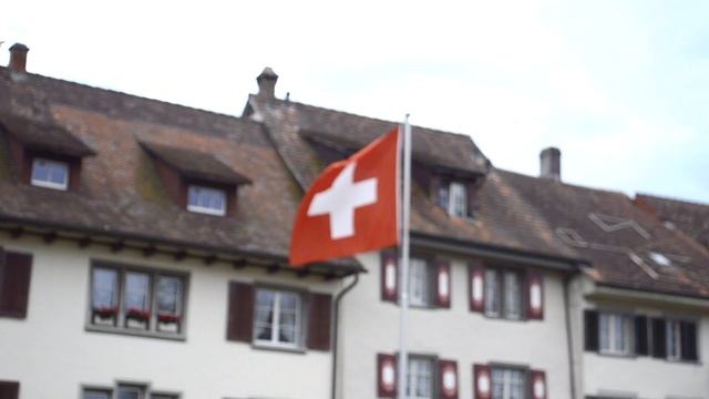 Rheinfall & Stein Am Rhein Tour in Switzerland смотреть онлайн