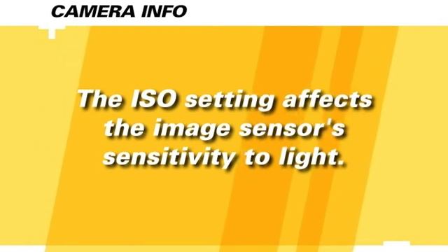Nikon D60 (Chapter 6) Instructional Guide By QuickPro Camera Guides
