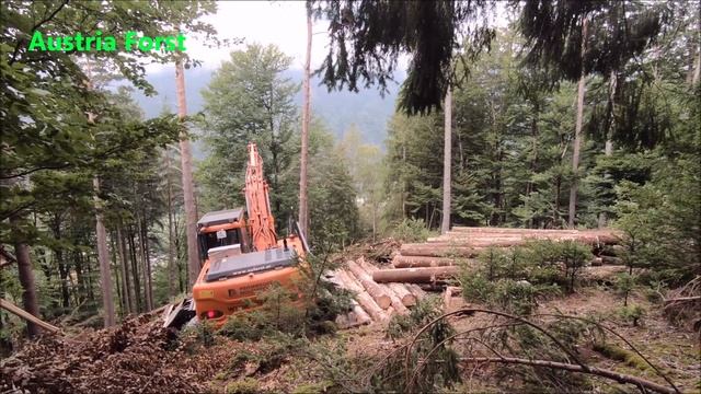 Doosan Baggerprozessor mit Woody 60 смотреть онлайн