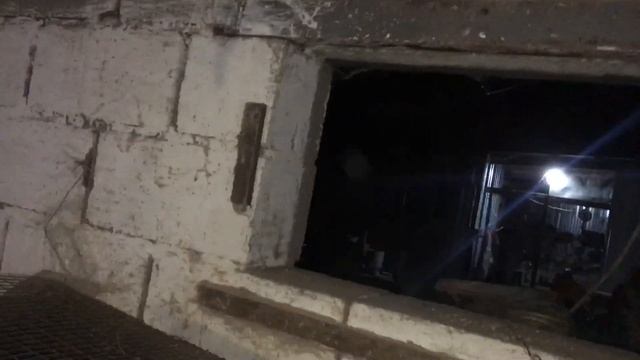 Сбежавший енот из вольера смотреть онлайн