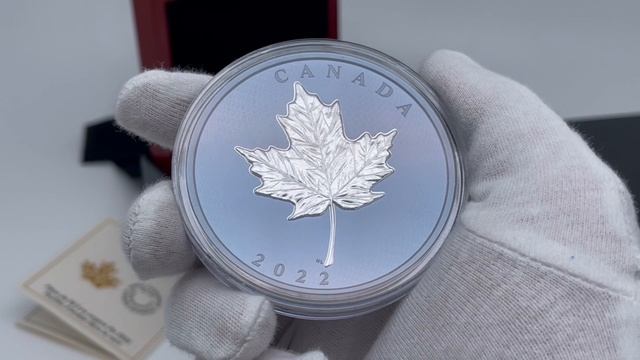 (Kanada/Royal Canadian Mint) Maple Leaves in Motion 2022 - 5 Oz Silber Blue Rhodium смотреть онлайн