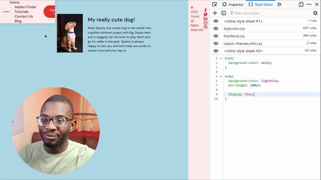 Align FOOTER TO BOTTOM of page in Elementor | CSS Tutorial смотреть онлайн