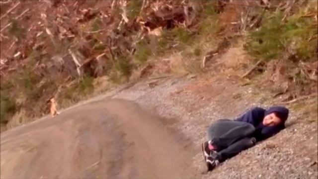 Бродячий пес боялся людей. Но девушка придумала один трюк, только посмотрите на это смотреть онлайн