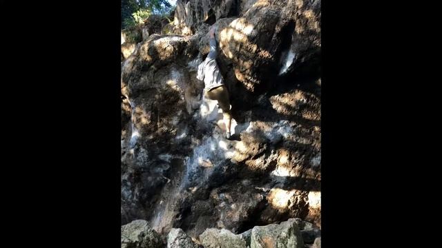 Jungle Fever V8 - Mortar Rock смотреть онлайн