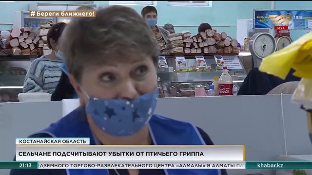 Сельчане Костанайской области подсчитывают убытки от птичьего гриппа смотреть онлайн