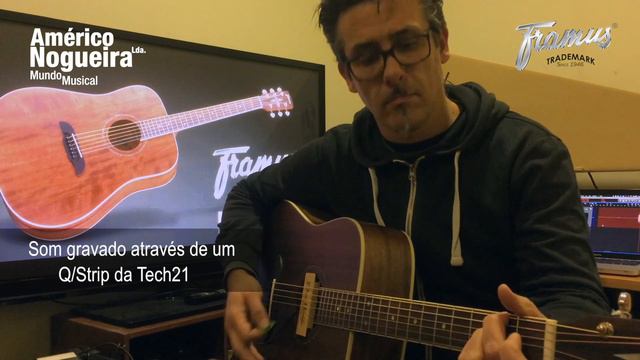 Framus FD14MNS com pickup Dean Markley ProMag Plus смотреть онлайн