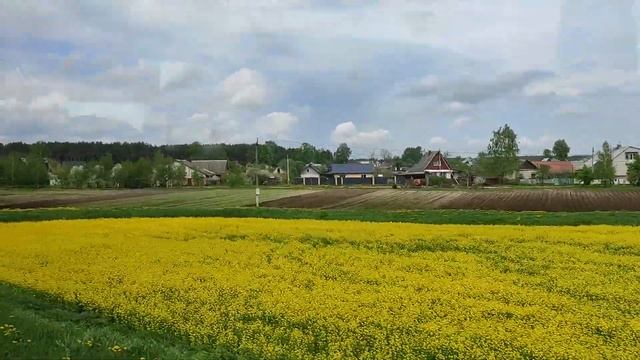 Белорусский пейзаж. Гомельская область. Май 2021.Belarus. Rural landscape. смотреть онлайн