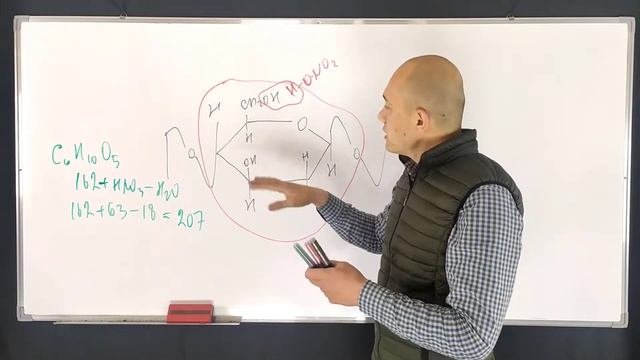 Сколько нитрогрупп будет содержаться в продукте нитрования целлюлозы, если содержание азота ра...11 смотреть онлайн