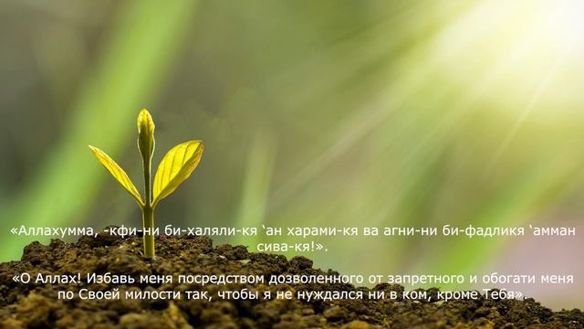 Дуа для хорошей торговли и помощи в выплате долгов 21 раз смотреть онлайн