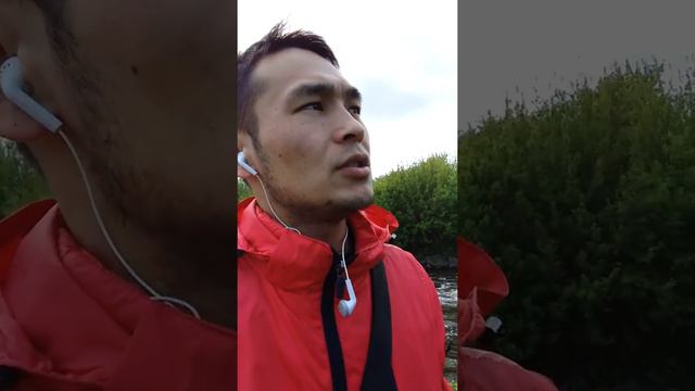 Кыргызча ыр кандай экен баа бериңиздер смотреть онлайн