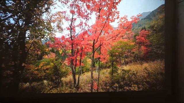XGIMI MoGo 2 Pro Picture Quality - Quick Test