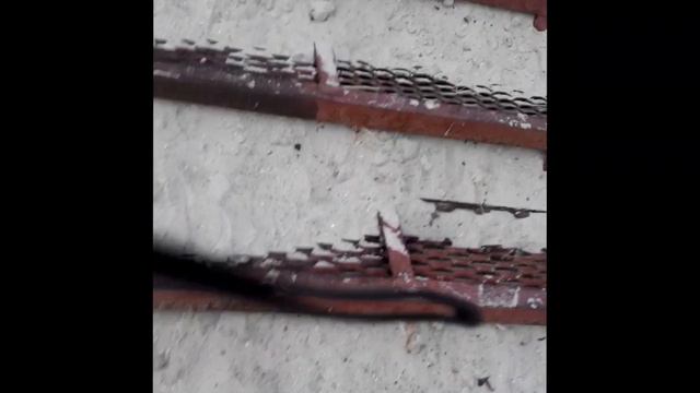 "Пандус" к морю... Санаторий Борисфен г.Очаков 08.07.2019 смотреть онлайн