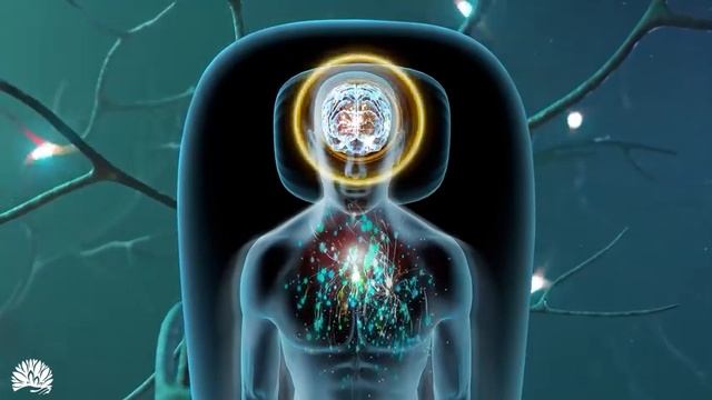✔Alpha Waves Heal Damage In The Body ● Positive Energy ● Whole body repair & healing while you slee смотреть онлайн