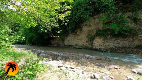 Sounds of nature, Birds Singing & Sounds of River, for Relaxation, Sleep, Meditation or Rest 6 hours