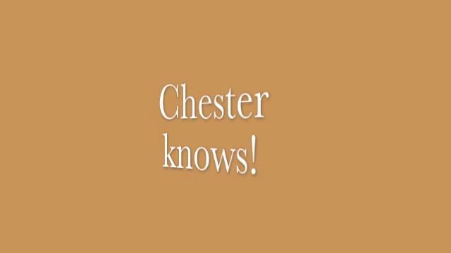 Chester Knows! [MP3/DL] смотреть онлайн
