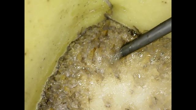 Что же это за нити в бананах смотреть онлайн